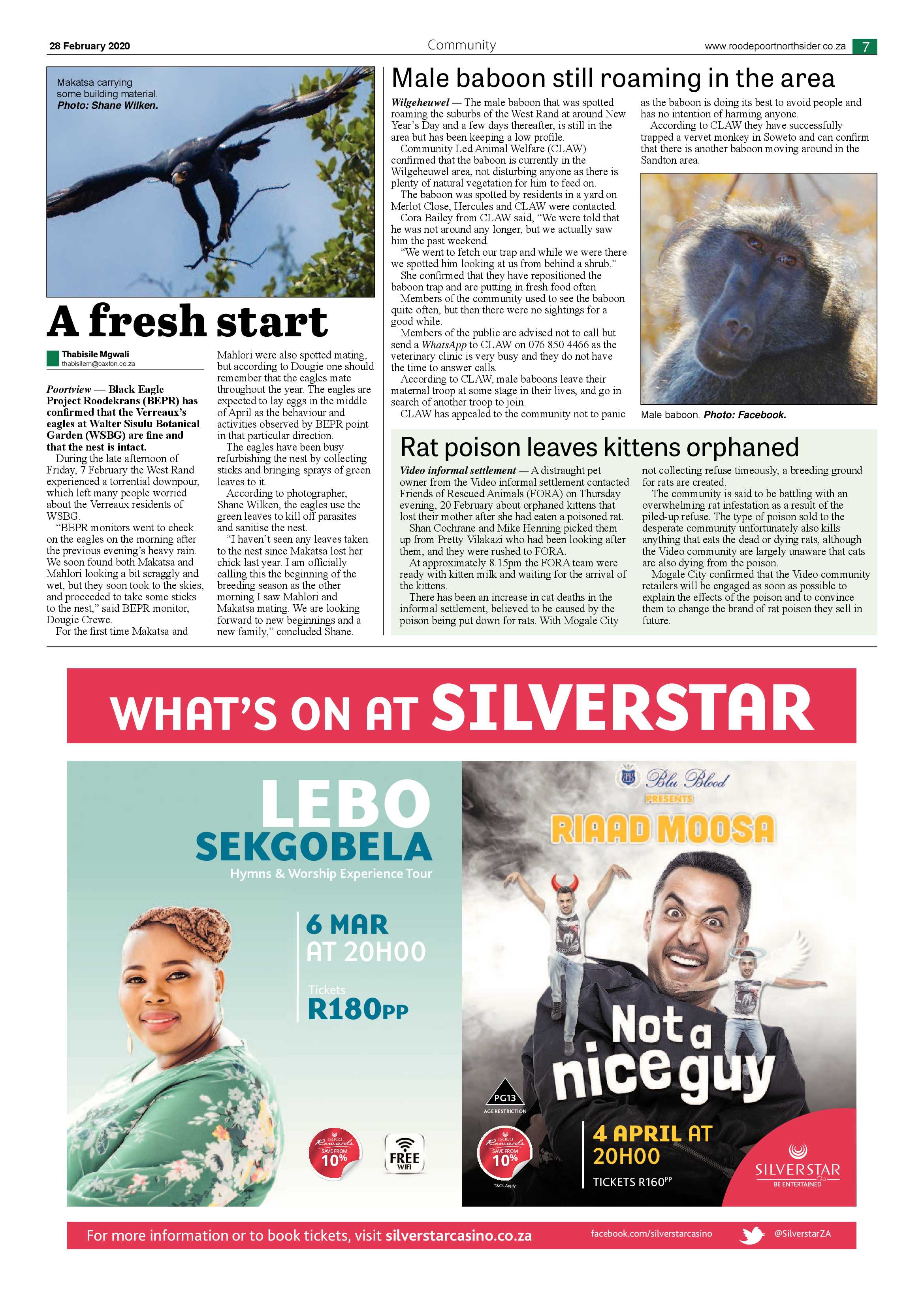 Roodepoort Northsider 28 February 2020 page 7